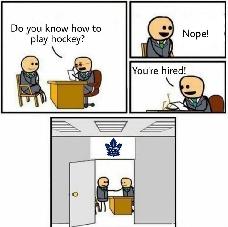 leafs - do you know how toplay hockey - you're hired.jpg